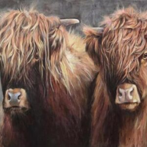 Highland Cattle