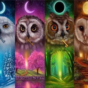 Owl Seasons