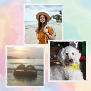 Custom Paintings & Estimates